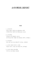 소비자행동론 REPORT -1