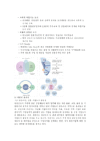 비교지역사회개발 중간 Report - 신도시 개발 -3