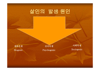 미해결 살인사건의 실태와 문제점을 분석하고 탐정으로서 해결 방안 -3