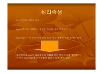 미해결 살인사건의 실태와 문제점을 분석하고 탐정으로서 해결 방안 -5