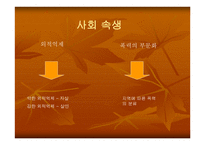 미해결 살인사건의 실태와 문제점을 분석하고 탐정으로서 해결 방안 -6