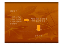 미해결 살인사건의 실태와 문제점을 분석하고 탐정으로서 해결 방안 -15