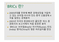 BRICs-인도 -2