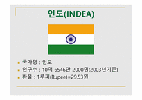 BRICs-인도 -3