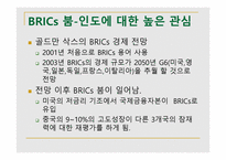 BRICs-인도 -4