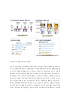 고령화 사회에 지역사회가 나아갈 방향에 대해서 -4