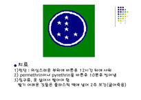 성의 과학 개론-성병에 관하여 -12