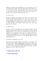 마케팅 전략, 4P의 개념과 성공사례 및 실패사례-4