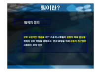 조직행동론-팀의 도입과 운영 -3