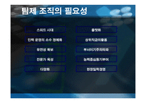 조직행동론-팀의 도입과 운영 -7