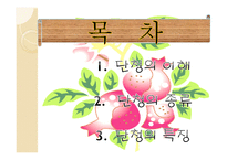 아동미술-단청 -2