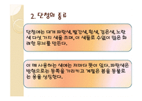 아동미술-단청 -4