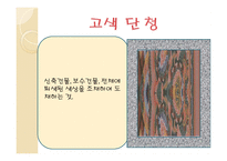 아동미술-단청 -13
