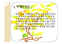 아동미술-단청 -15