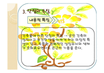 아동미술-단청 -16