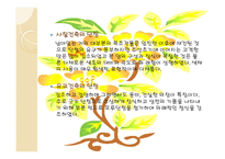 아동미술-단청 -17