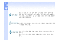 유아교육-일일활동계획안-새노래 -4
