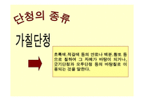 아동미술-오색무늬 단청 -9