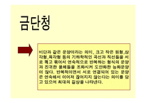 아동미술-오색무늬 단청 -15