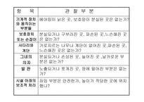 유치원 실외놀이 공간의 구성 -7