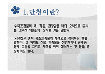 아동미술-단청의 종류와 특징 -3