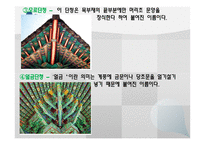 아동미술-단청의 종류와 특징 -7