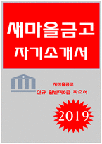 새마을금고자기소개서 2019년-새마을금고자소서 새마을금고 일반직6급 자기소개서 새마을금고 입사 후 이루고 싶은 목표 새마을금고자소서 일반직-1
