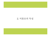 미혼모 정의,특성,실태분석및 국내,해외 미혼모 복지서비스 사례분석및 미혼모 문제점과 해결방안제시 PPT-6
