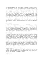 청소년기의 인지발달에 대해 설명하시오-2