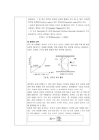 화학공학실험1 1. 레이놀즈수 측정 결과보고서-3