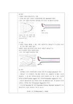 화학공학실험1 2. 유체마찰손실 결과보고서-2