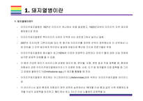 돼지열병 개념, 증상, 문제와 해결방법 [돼지열병,ASF,돼지,아프리카 돼지열병,멧돼지]-3