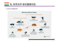 돼지열병 개념, 증상, 문제와 해결방법 [돼지열병,ASF,돼지,아프리카 돼지열병,멧돼지]-5