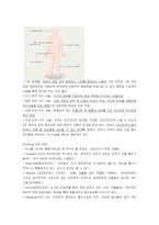 화상 간호과정-4