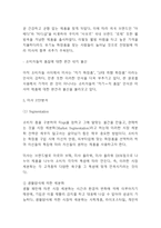 미샤 기업분석과 SWOT분석 및 마케팅 STP,4P분석-8