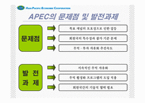 [경제기구]APEC ppt(2005후반기최신)-19