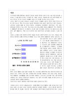 정보불평등(격차)현상의 원인과 해결방안-2
