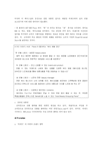 [마케팅] 태평양 라네즈 브랜드 전략 - 마케팅 분석과 전략을 중심-7