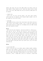 [마케팅] 태평양 라네즈 브랜드 전략 - 마케팅 분석과 전략을 중심-13