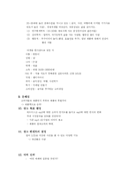 [광고기획서] 아이리버 I-rever HDD mp3 광고 기획서-11