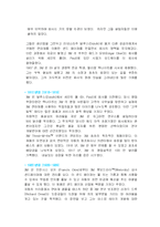 [다국적기업전략] 3M 다국적기업 성공사례-10