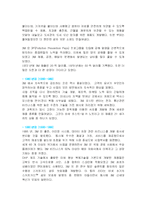 [다국적기업전략] 3M 다국적기업 성공사례-13