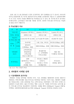 [경영학] 인터넷서비스 시장 분석 변화와 전략 -파워콤, 지역방송, 무선-6