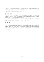 [경영학] 인터넷서비스 시장 분석 변화와 전략 -파워콤, 지역방송, 무선-13