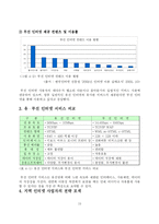 [경영학] 인터넷서비스 시장 분석 변화와 전략 -파워콤, 지역방송, 무선-15