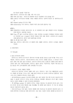 [국제마케팅] Levi`s(리바이스)의 마케팅 전략-6