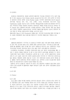 [국제마케팅] Levi`s(리바이스)의 마케팅 전략-12