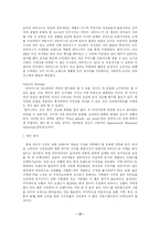 [국제마케팅] Levi`s(리바이스)의 마케팅 전략-17