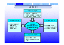 [현대기업] 민들레영토 분석-4
