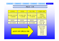 [현대기업] 민들레영토 분석-12